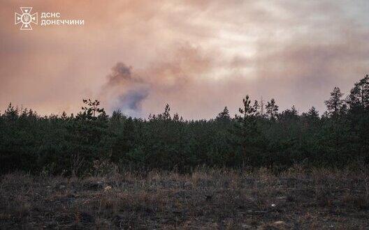 В Лиманському районі вдалося локалізувати значну лісову пожежу, повідомляє Державна служба України з надзвичайних ситуацій. Дивіться фото-репортаж.