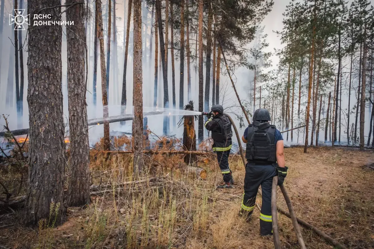 Український легіон у Польщі наразі існує виключно на документальному рівні - повідомляють ЗМІ | УНН