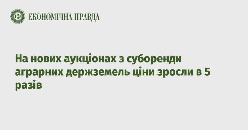 На щойно проведених аукціонах з суборенди державних аграрних земель ціни піднялися в п’ять разів.